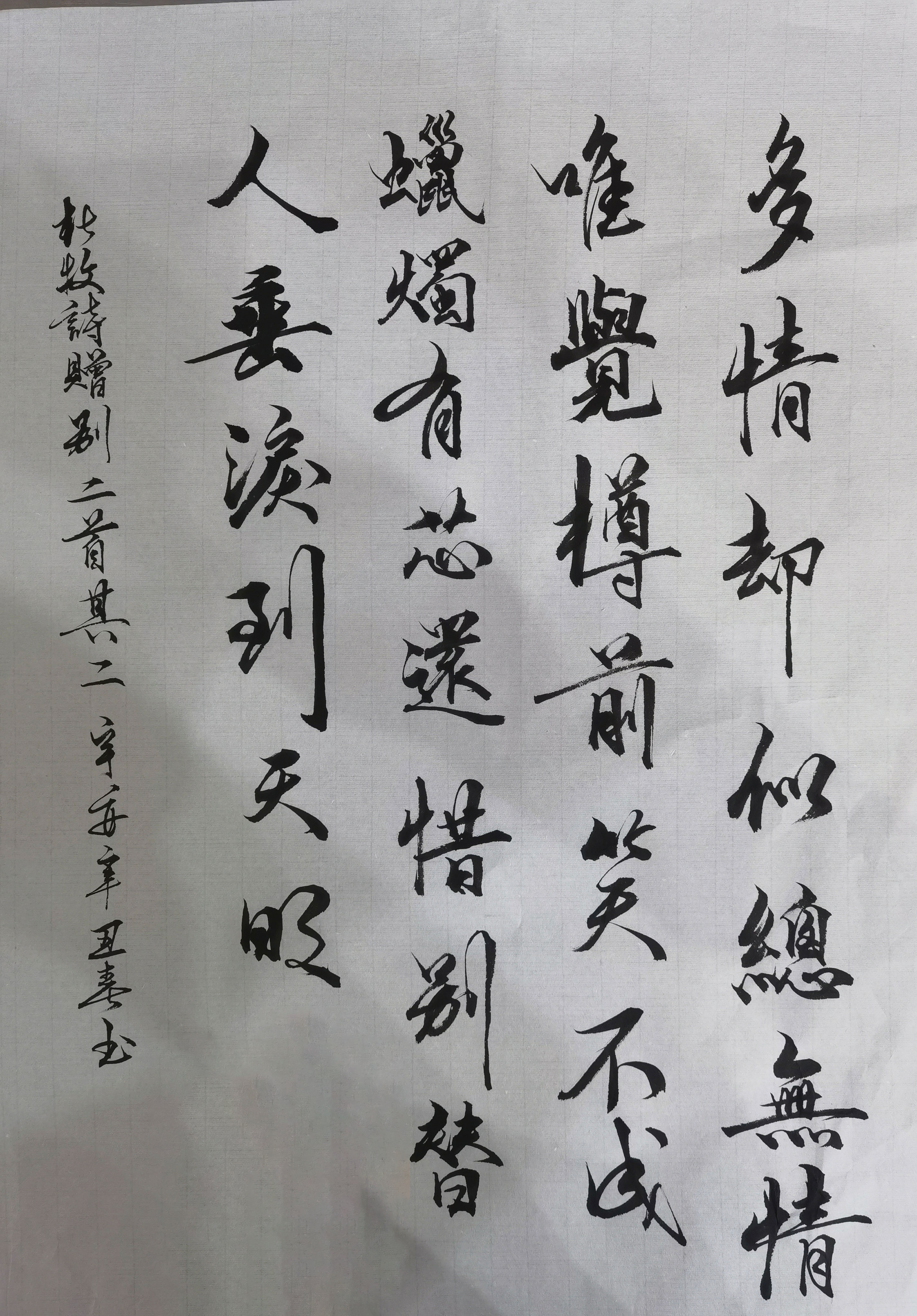 书社会员作品预览