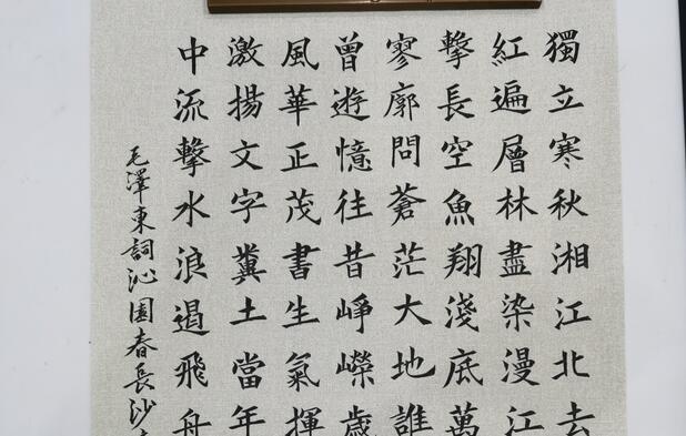 会员书法作品