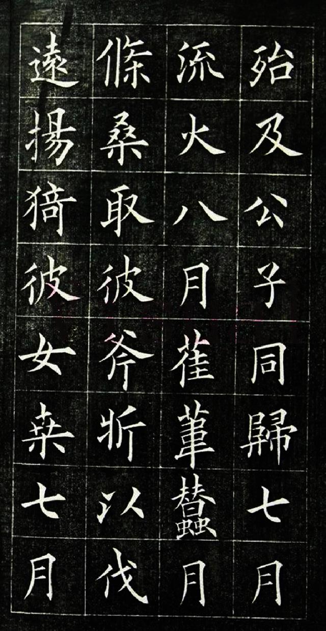 冯誉骥(图4)