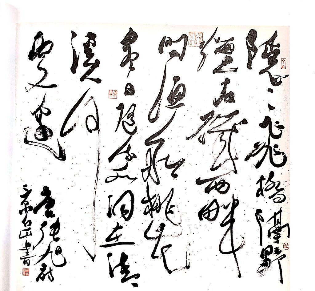 张景岳(图5)