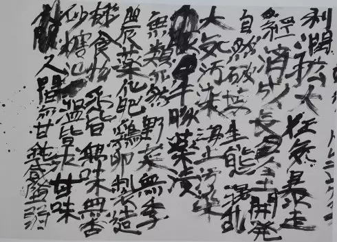 丑书：中国书法的腐败(图6)