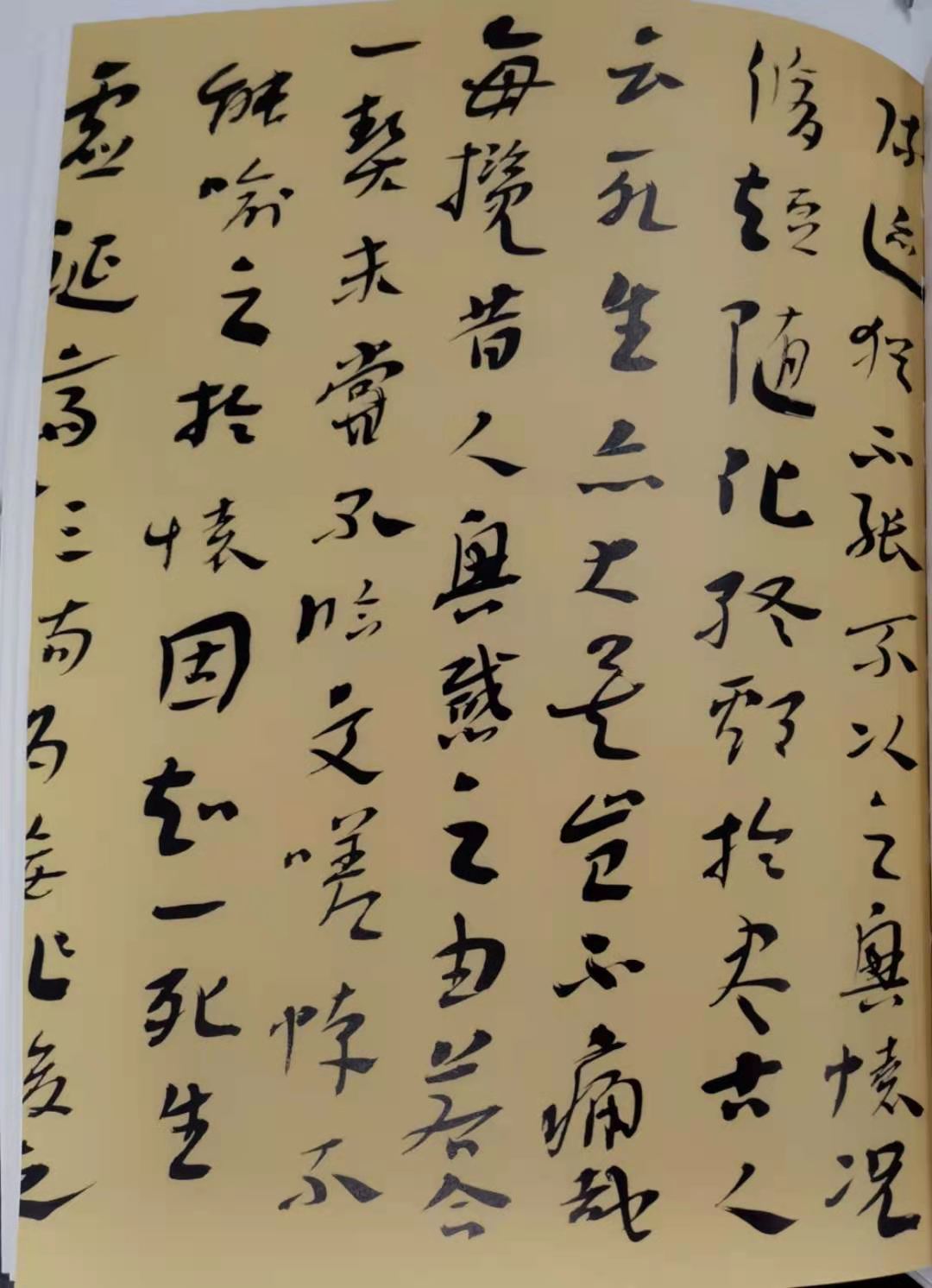 杨华德作品(图3)